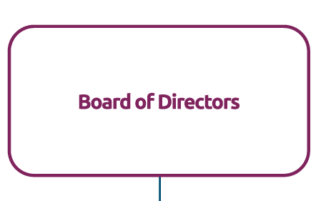 At the first level of hierarchy is the Board of Directors.