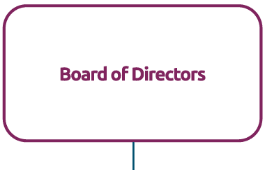 At the first level of hierarchy is the Board of Directors.