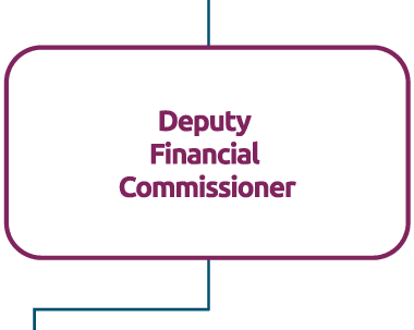 At the next level of the hierarchy is the Assistant Financial Commissioner.
